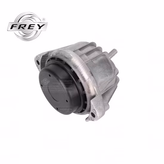 Peças de montagem de motor automotivo OEM 22116760330 para BMW E90 E87 E84 Frey